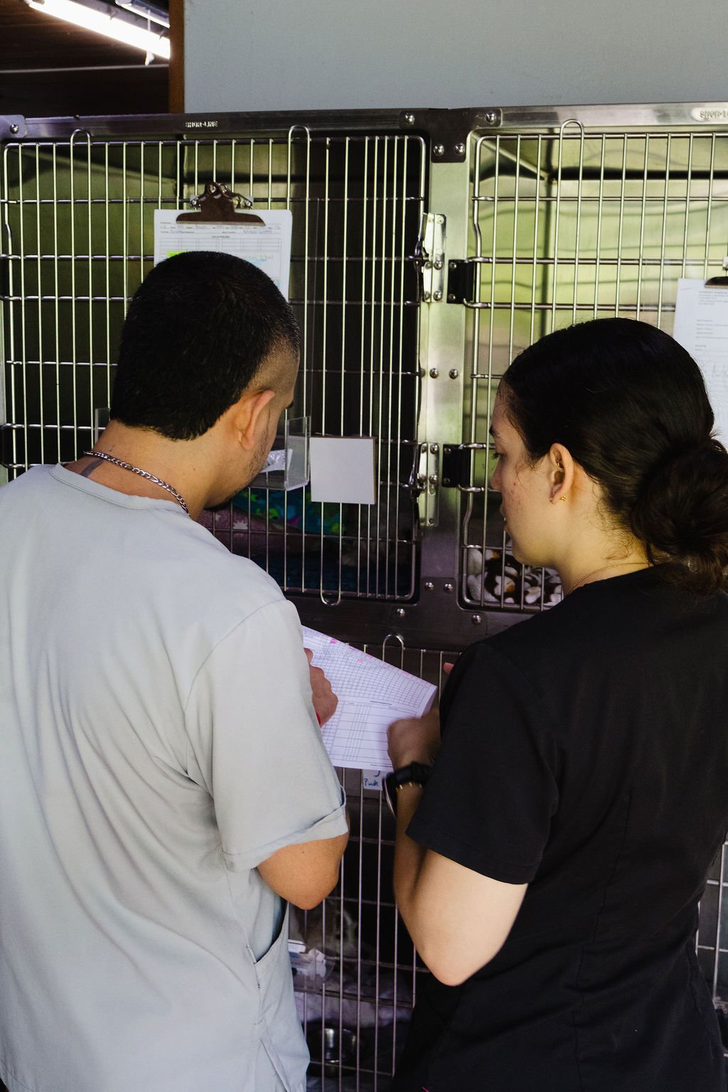 Hospitalización y monitoreo en Intensivet