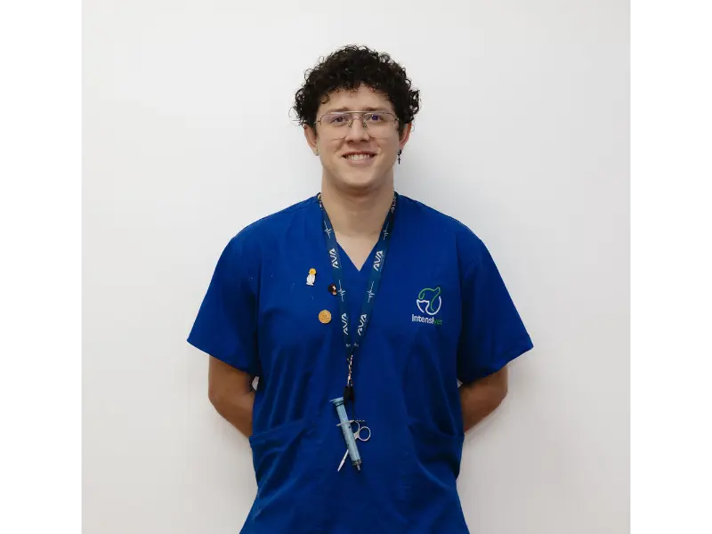 Dr. Mario Quirós Fallas, Anestesia y Analgesia en Hospital Veterinario Intensivet